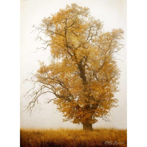 Autumn Mist I White Modern Wood Framed Art Print by Geyman, Vitaly