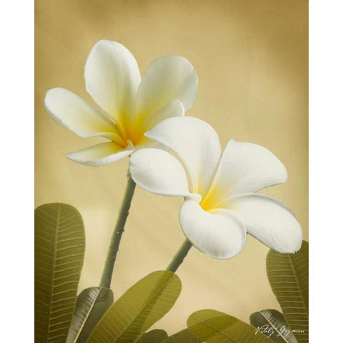 Oriental Plumeria II Gold Ornate Wood Framed Art Print with Double Matting by Geyman, Vitaly