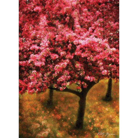 Pink Cherry Tree Black Modern Wood Framed Art Print with Double Matting by Geyman, Vitaly