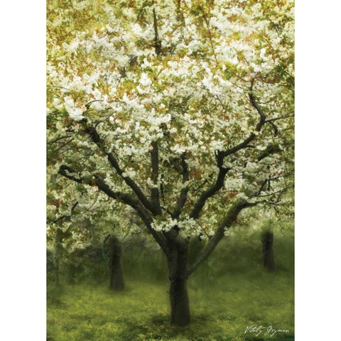 White Cherry Tree I Black Modern Wood Framed Art Print with Double Matting by Geyman, Vitaly