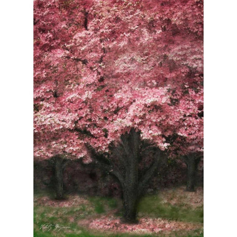 Pink Dogwood III Black Modern Wood Framed Art Print with Double Matting by Geyman, Vitaly