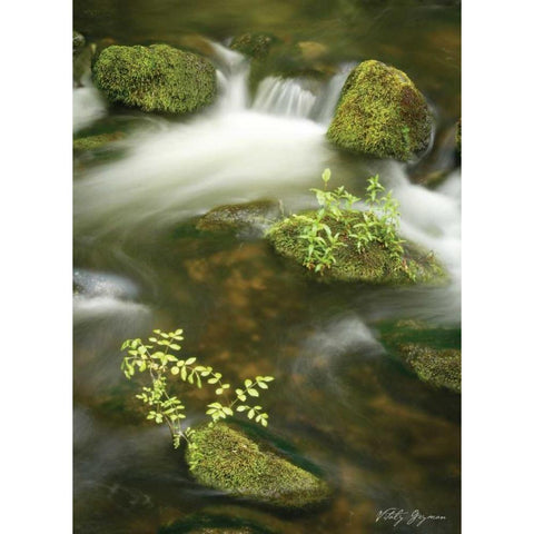 Soothing Waters III White Modern Wood Framed Art Print by Geyman, Vitaly