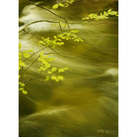 Soothing Waters VII Gold Ornate Wood Framed Art Print with Double Matting by Geyman, Vitaly