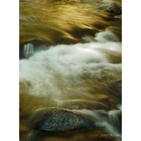 Soothing Waters VIII Gold Ornate Wood Framed Art Print with Double Matting by Geyman, Vitaly