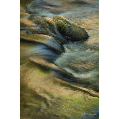 Soothing Waters XI Gold Ornate Wood Framed Art Print with Double Matting by Geyman, Vitaly