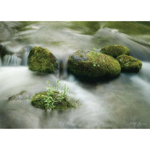 Soothing Waters XVI Gold Ornate Wood Framed Art Print with Double Matting by Geyman, Vitaly