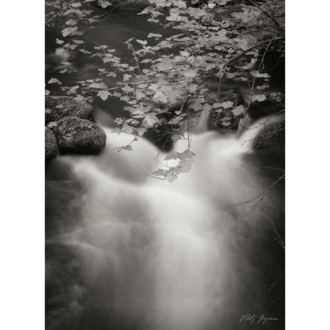 Flowing Waters III Black Modern Wood Framed Art Print with Double Matting by Geyman, Vitaly