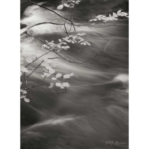 Flowing Waters IV Black Modern Wood Framed Art Print with Double Matting by Geyman, Vitaly