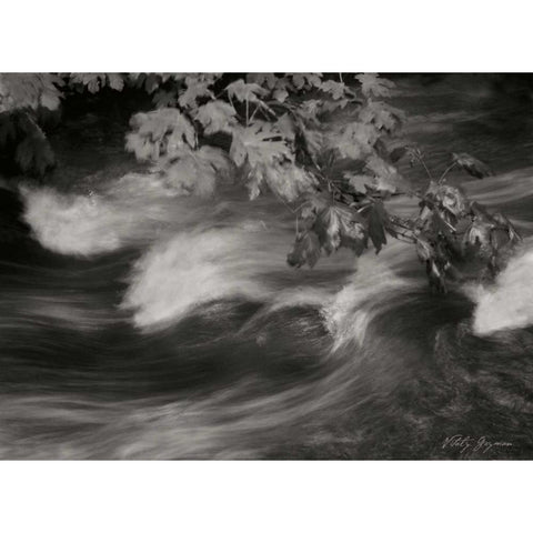 Flowing Waters X Gold Ornate Wood Framed Art Print with Double Matting by Geyman, Vitaly