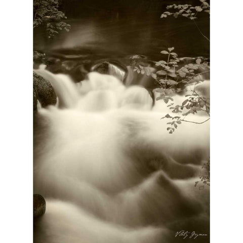 Sepia Waters I White Modern Wood Framed Art Print by Geyman, Vitaly