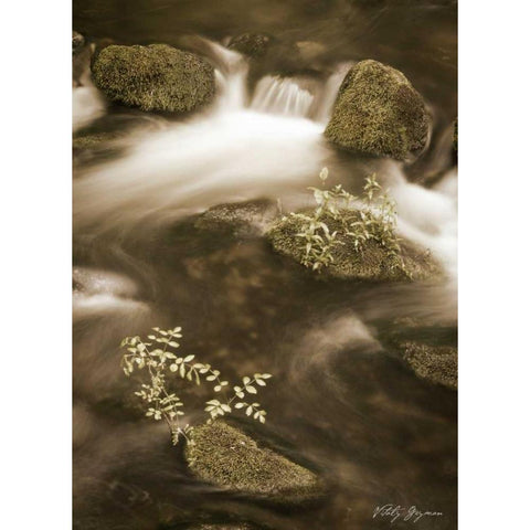 Sepia Waters II White Modern Wood Framed Art Print by Geyman, Vitaly