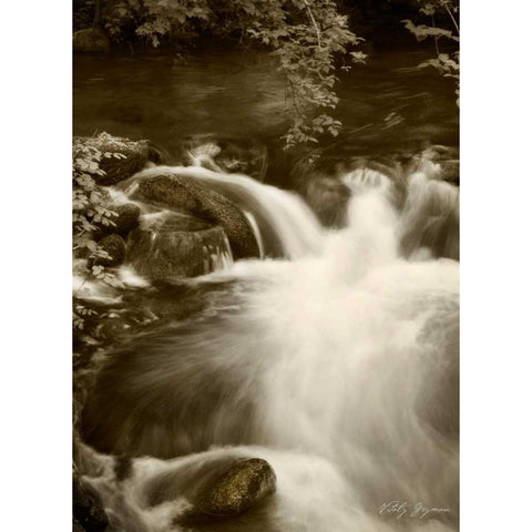 Sepia Waters III White Modern Wood Framed Art Print by Geyman, Vitaly