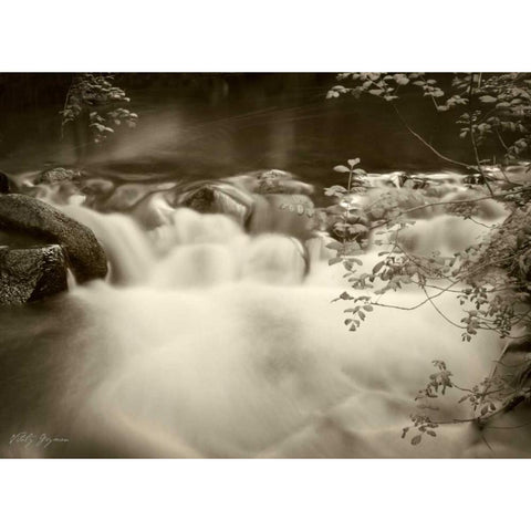 Sepia Waters IV White Modern Wood Framed Art Print by Geyman, Vitaly