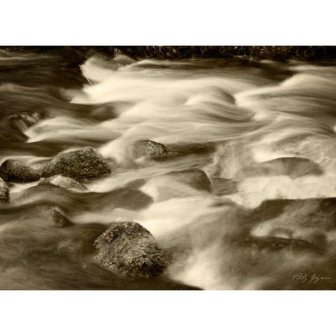 Sepia Waters V Black Modern Wood Framed Art Print with Double Matting by Geyman, Vitaly