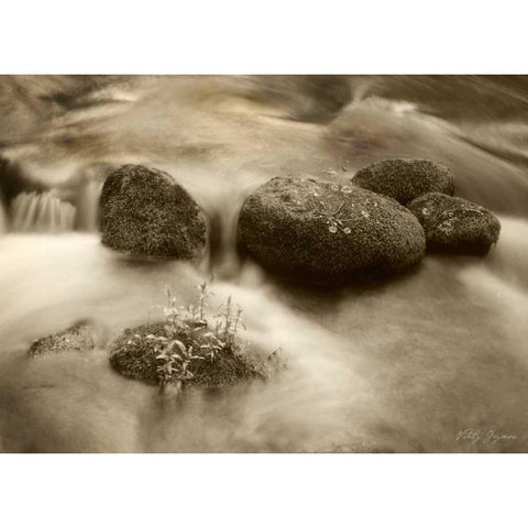 Sepia Waters VI Black Modern Wood Framed Art Print with Double Matting by Geyman, Vitaly