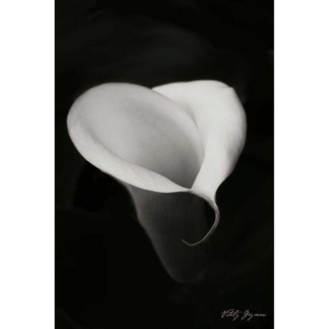 Calla Lily I Black Modern Wood Framed Art Print with Double Matting by Geyman, Vitaly