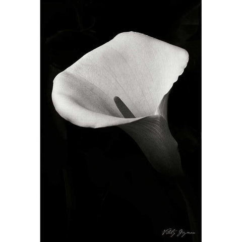 Calla Lily II White Modern Wood Framed Art Print by Geyman, Vitaly