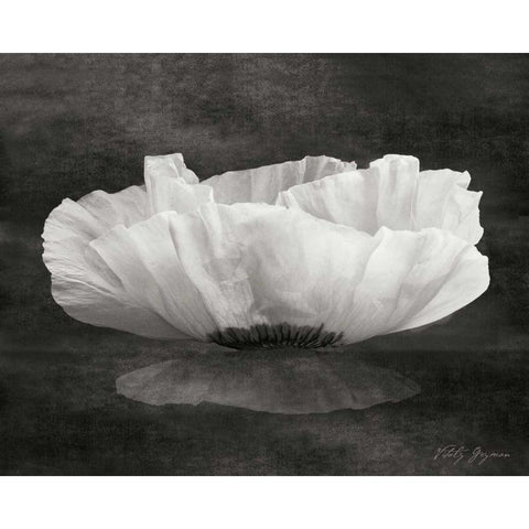 Poppy Mirage White Modern Wood Framed Art Print by Geyman, Vitaly