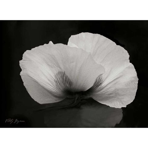 Night Poppy II White Modern Wood Framed Art Print by Geyman, Vitaly