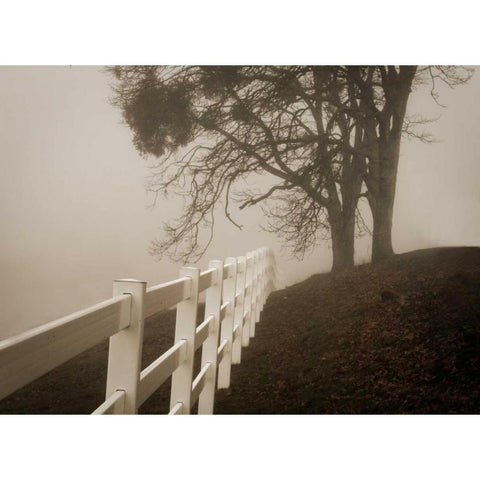 Into the Fog White Modern Wood Framed Art Print by Geyman, Vitaly