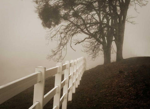 Into the Fog Black Ornate Wood Framed Art Print with Double Matting by Geyman, Vitaly