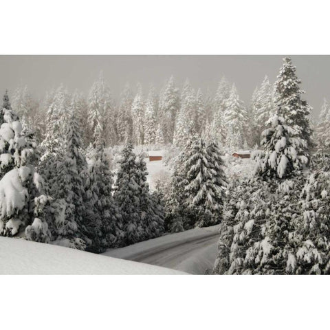 Mt. Ashland Rd Black Modern Wood Framed Art Print by Geyman, Vitaly