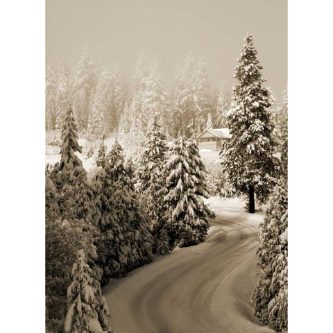 Mt. Ashland Rd II Black Modern Wood Framed Art Print with Double Matting by Geyman, Vitaly