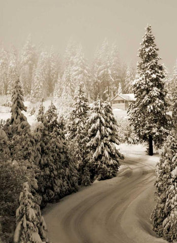 Mt. Ashland Rd II White Modern Wood Framed Art Print with Double Matting by Geyman, Vitaly