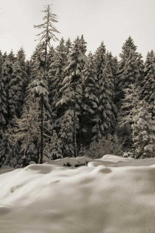 Snow Castle Black Ornate Wood Framed Art Print with Double Matting by Geyman, Vitaly