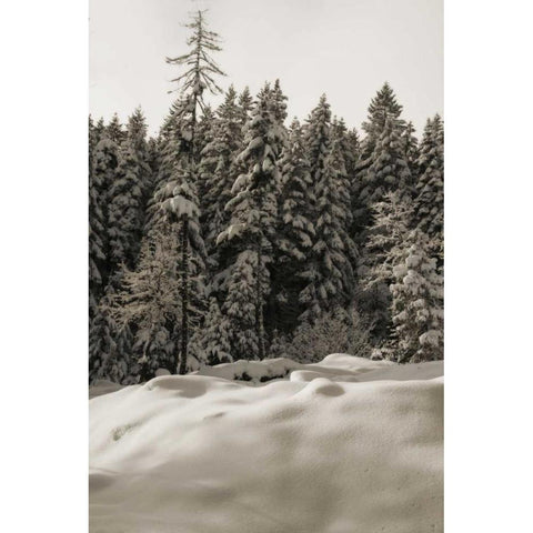 Snow Castle Black Modern Wood Framed Art Print with Double Matting by Geyman, Vitaly