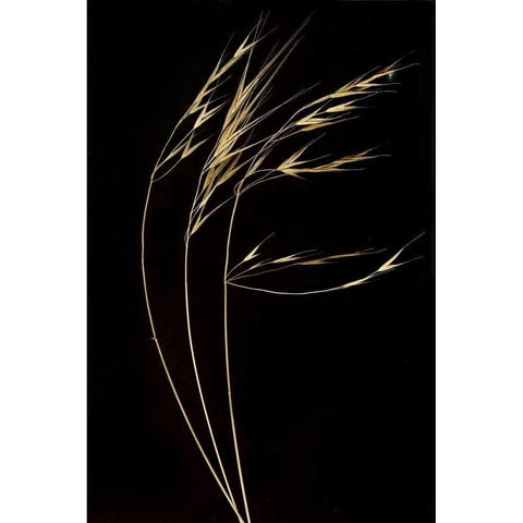 Grass Mosaic II Gold Ornate Wood Framed Art Print with Double Matting by Geyman, Vitaly