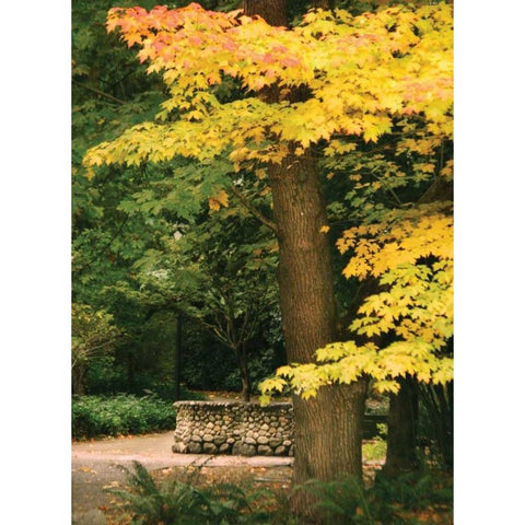 Fall Maple Fever XI Gold Ornate Wood Framed Art Print with Double Matting by Geyman, Vitaly