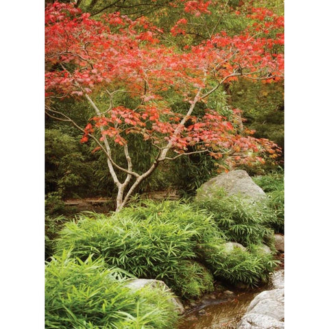Japanese Park I Gold Ornate Wood Framed Art Print with Double Matting by Geyman, Vitaly