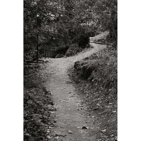 Autumn Path II BandW Black Modern Wood Framed Art Print with Double Matting by Geyman, Vitaly