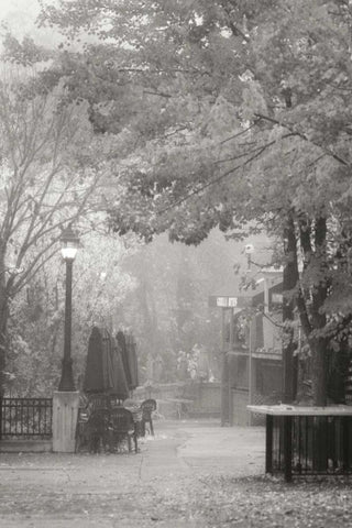 Fall Plaza III BandW Black Ornate Wood Framed Art Print with Double Matting by Geyman, Vitaly