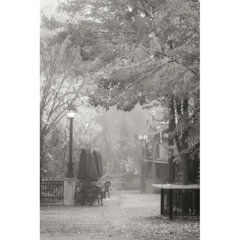 Fall Plaza III BandW Gold Ornate Wood Framed Art Print with Double Matting by Geyman, Vitaly