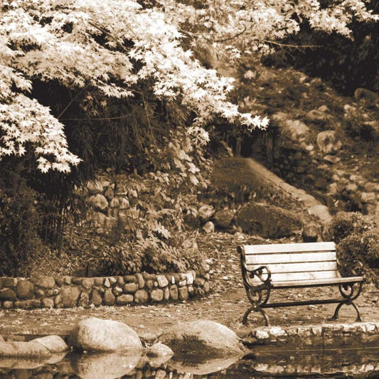 Image Only