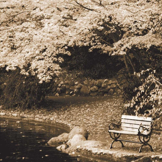Image Only