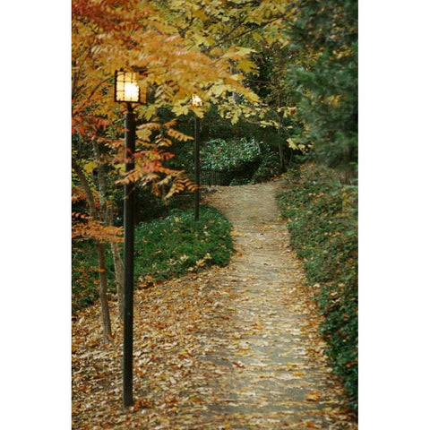 Autumn Path I Gold Ornate Wood Framed Art Print with Double Matting by Geyman, Vitaly