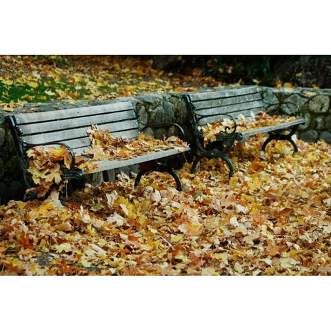 Autumn Paradise I Gold Ornate Wood Framed Art Print with Double Matting by Geyman, Vitaly