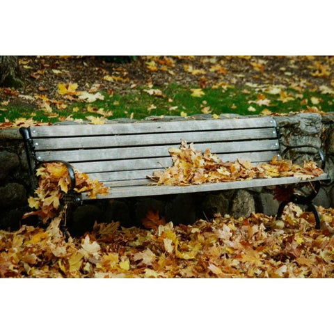 Autumn Paradise II Gold Ornate Wood Framed Art Print with Double Matting by Geyman, Vitaly
