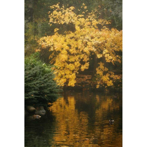 Autumn Reflections I Gold Ornate Wood Framed Art Print with Double Matting by Geyman, Vitaly