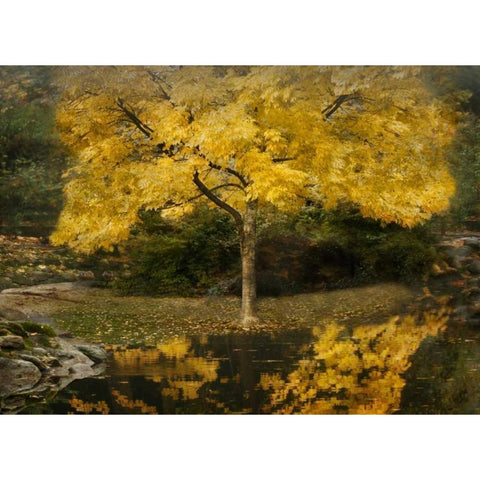 Autumn Reflections III Gold Ornate Wood Framed Art Print with Double Matting by Geyman, Vitaly