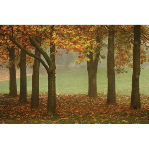 Colors in the Mist VII Gold Ornate Wood Framed Art Print with Double Matting by Geyman, Vitaly