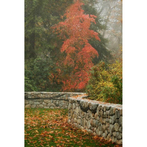 Fence Mosaic I Black Modern Wood Framed Art Print by Geyman, Vitaly