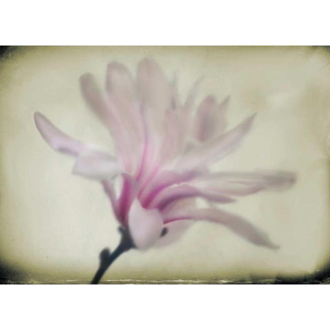 Floral Dreams I Gold Ornate Wood Framed Art Print with Double Matting by Geyman, Vitaly
