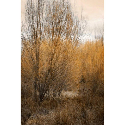 Spring Serenity II Gold Ornate Wood Framed Art Print with Double Matting by Geyman, Vitaly