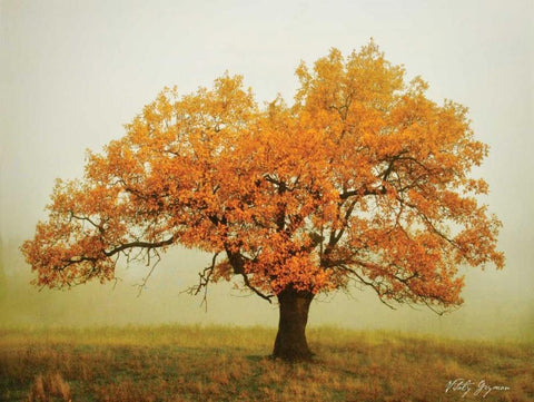 Misty V White Modern Wood Framed Art Print with Double Matting by Geyman, Vitaly