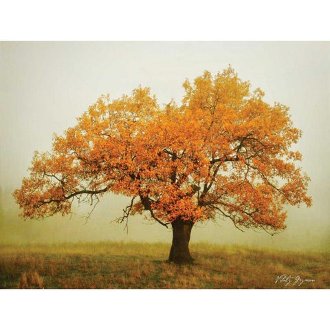 Misty V White Modern Wood Framed Art Print by Geyman, Vitaly