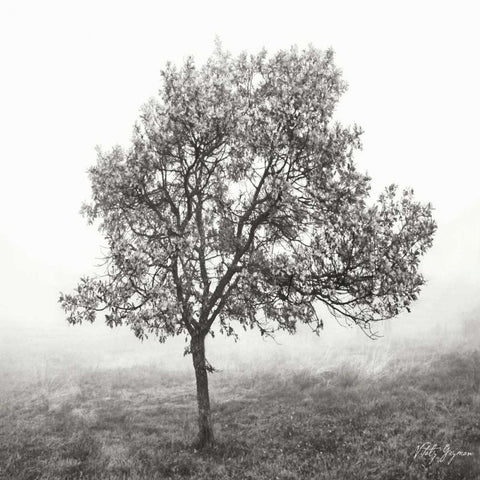 Burning Oak BW VI White Modern Wood Framed Art Print by Vitaly, Geyman